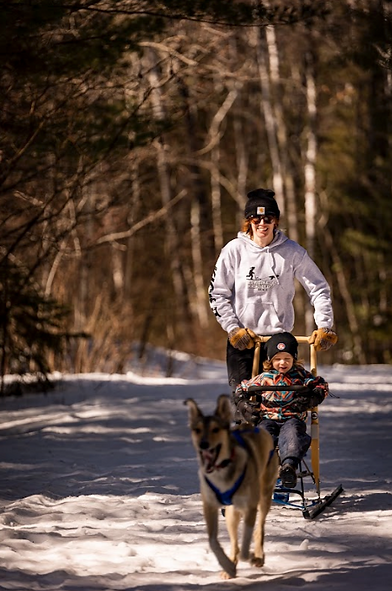 Kicksledding with a dog and child. Photo by Corvid Images